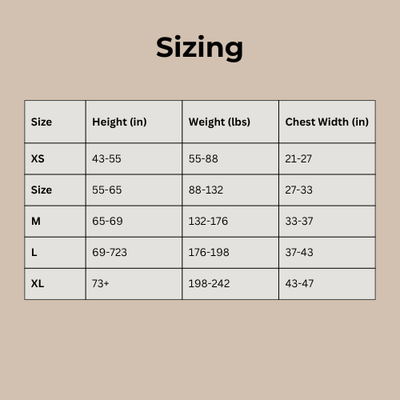 Conmova Align Posture Support Band